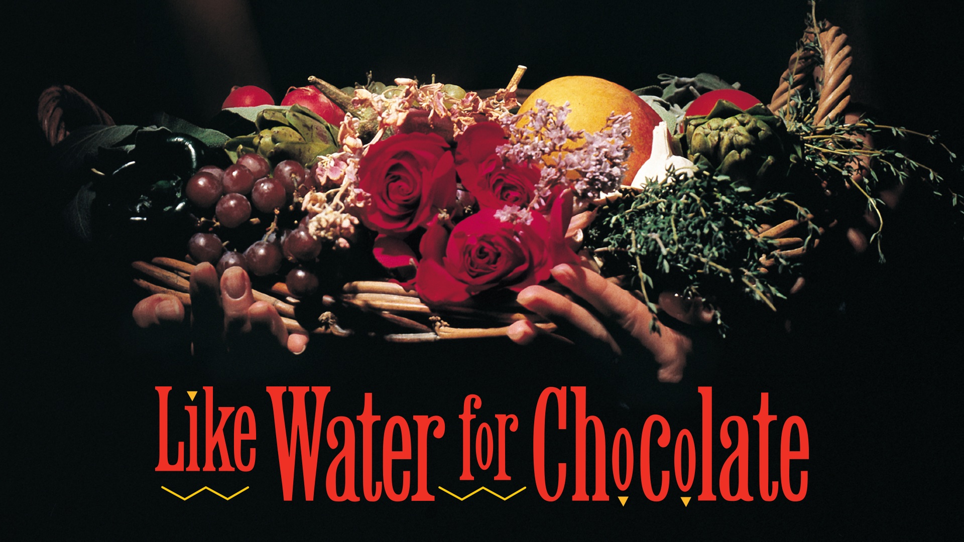 essay like water for chocolate essay like water for chocolate
